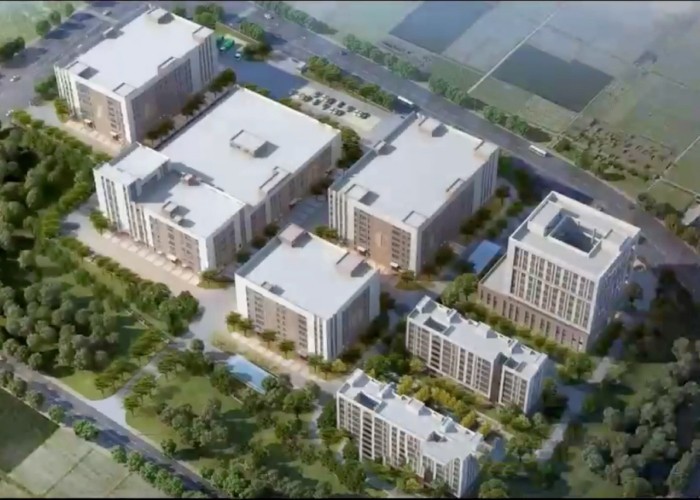 Qingdao Meilianjia International Trade Co., Ltd 공장 생산 라인