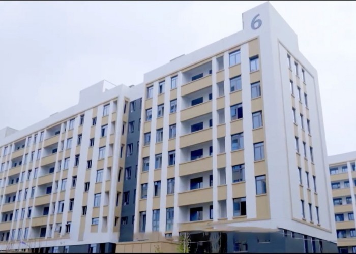Qingdao Meilianjia International Trade Co., Ltd 공장 생산 라인