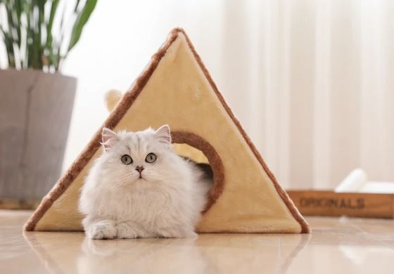 고양이 스크래처 나무 고양이 집 재미 놀이 기능과 상호 작용 장난감 Sisal 플러시 재료