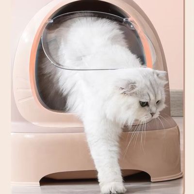 여러 고양이 친구들을 위한 자동 청소 플라스틱 고양이 쓰레기 상자
