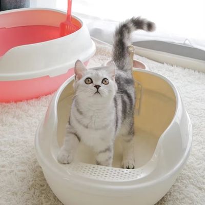높은 측면 PP 플라스틱 고양이 화장실 큰 방울 방지 오픈 톱 고양이 쓰레기 상자 실내용