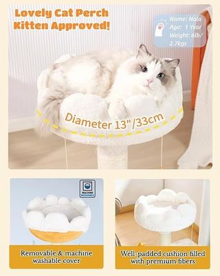 OEM/ODM 노란색 꽃 디자인 Sisal 스크래처와 망원경과 함께 큰 금속 프레임 고양이 타워