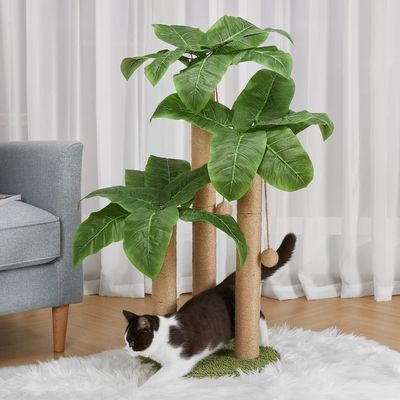 고양이 가구 반려동물 집 80cm 높이의 자연 시살 공과 3 기둥의 고양이 나무