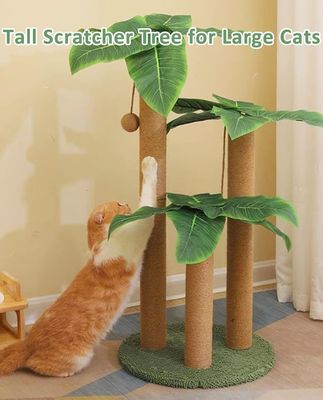고양이 가구 반려동물 집 80cm 높이의 자연 시살 공과 3 기둥의 고양이 나무