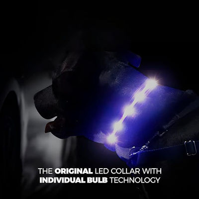 맞춤화 서비스 제공 수질 USB 재충전 가능한 실리콘 LED 개 목걸이