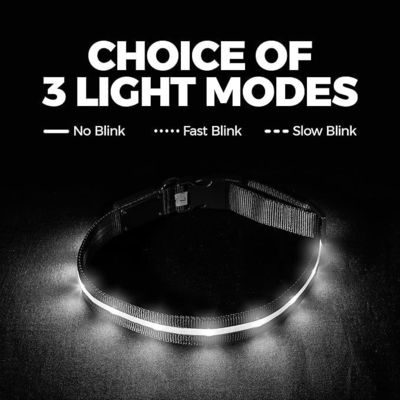 맞춤화 서비스 제공 수질 USB 재충전 가능한 실리콘 LED 개 목걸이