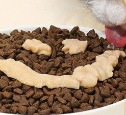 55% 고기 함량 고양이 젖은 음식 모든 생명 단계 연어 고양이 치료 스틱 음식 가방