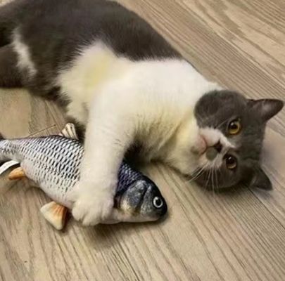 Catnip Plush 전기 이동식 물고기 고양이 장난감 지속적이고 상호 작용적인 놀이 시간