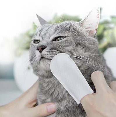 애완동물 이빨 청소 가죽 고양이와 개 노-강수 손가락 칫솔