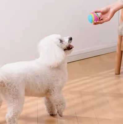 사용자 지정 로고 허용 애완 동물 장난감 야외 스포츠를위한 파괴되지 않는 개 테니스 공