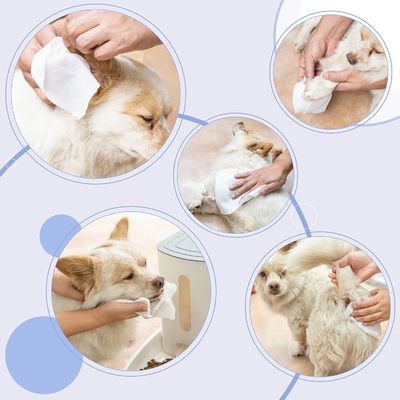 비취제 및 눈물 제거 기능이 있는 편리한 일회용 애완 동물 귀 와이프