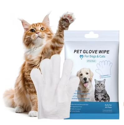 사용자 지정 로고 허용 6PCS 패키지 PET 정리를위한 애완 동물 청소 장갑 젖은 지갑