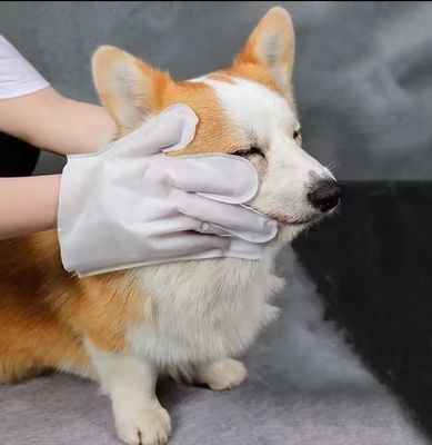 사용자 지정 로고 허용 6PCS 패키지 PET 정리를위한 애완 동물 청소 장갑 젖은 지갑