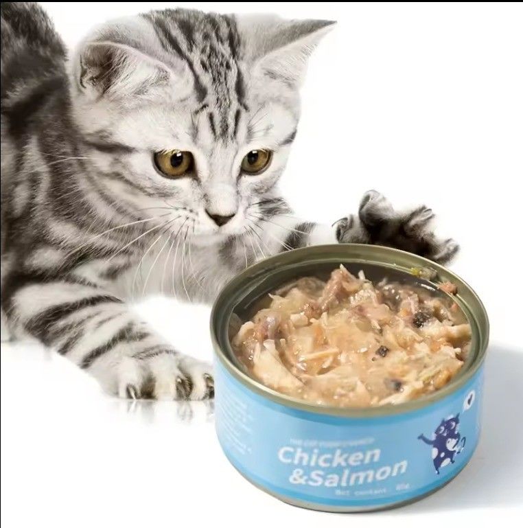 맞춤형 개인 레이블 단백질 젖은 건강과 여러 맛을위한 고양이 음식